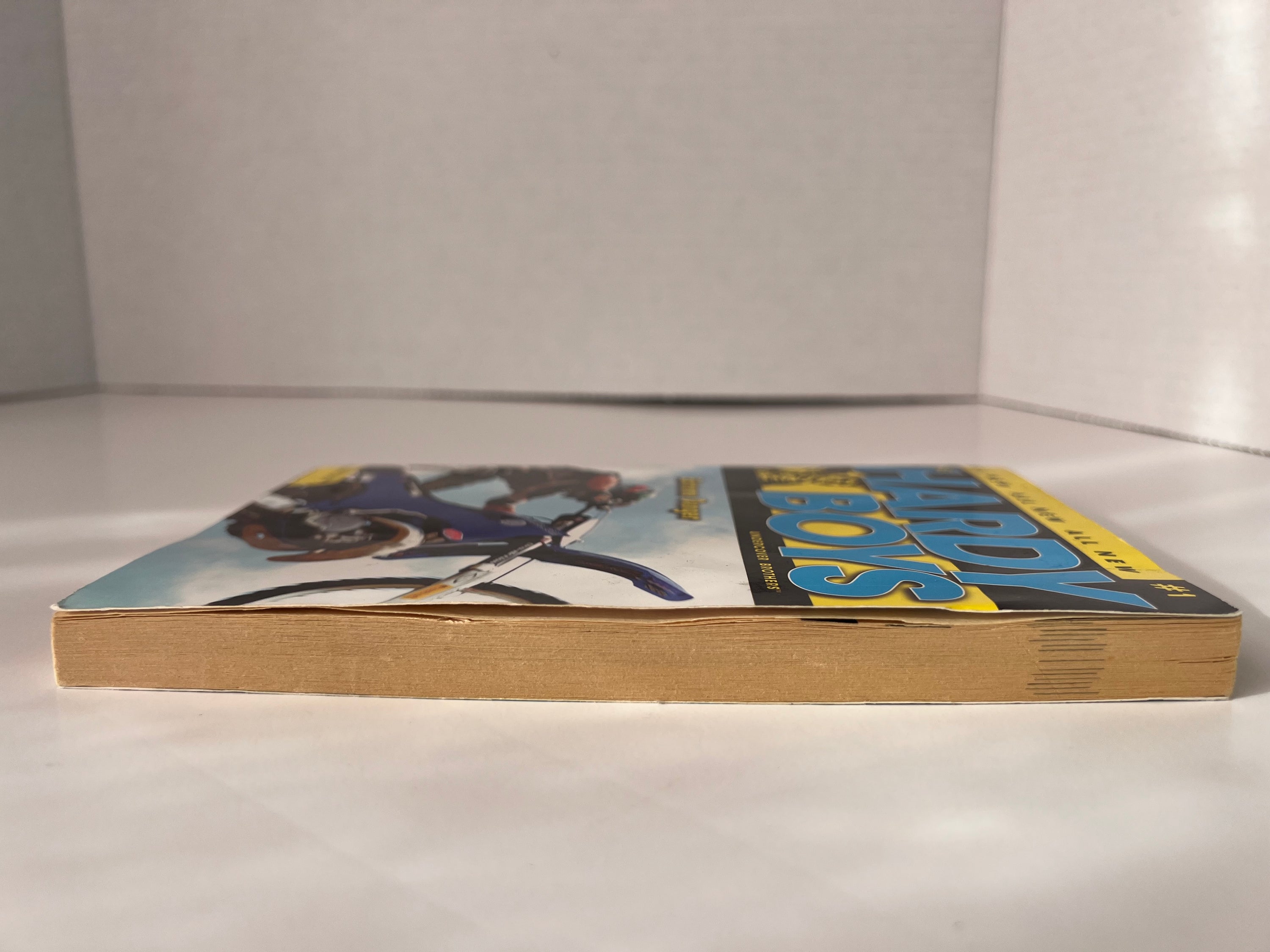 Cover of 'Extreme Danger' by Franklin W. Dixon featuring the Hardy Boys in an adventurous pose.