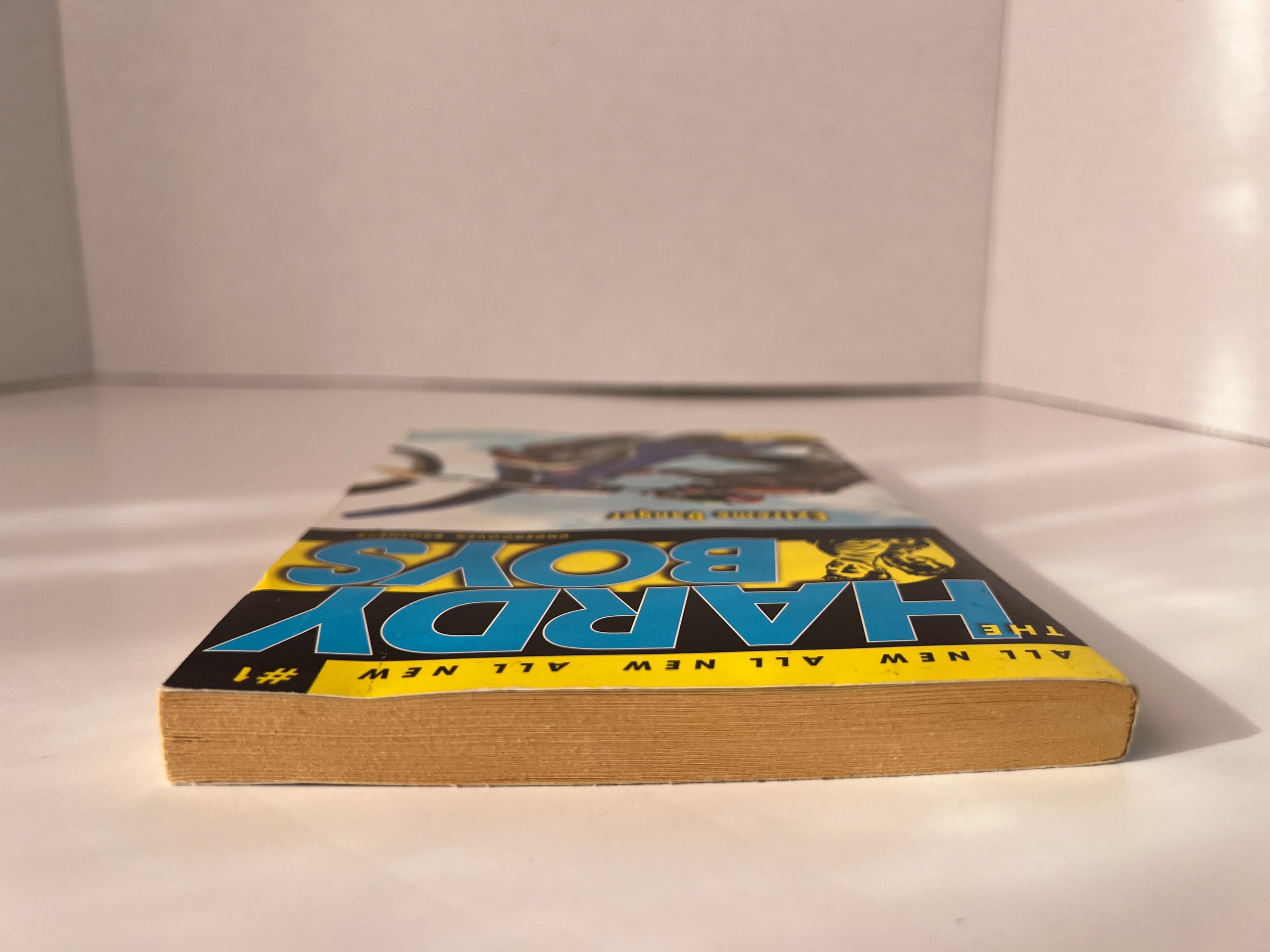 Cover of 'Extreme Danger' by Franklin W. Dixon featuring the Hardy Boys in an adventurous pose.