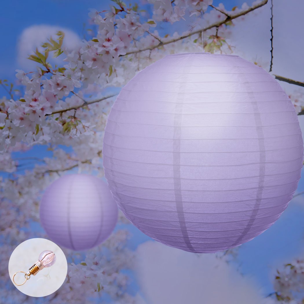 A set of 12-inch paper lanterns in warm white, perfect for wedding and party decorations, showcasing their elegant design and foldable feature.