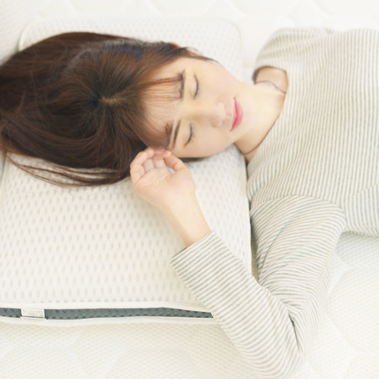 3D Slow Rebound Memory Pillow with double-sided mesh design, showcasing its breathable and supportive structure.