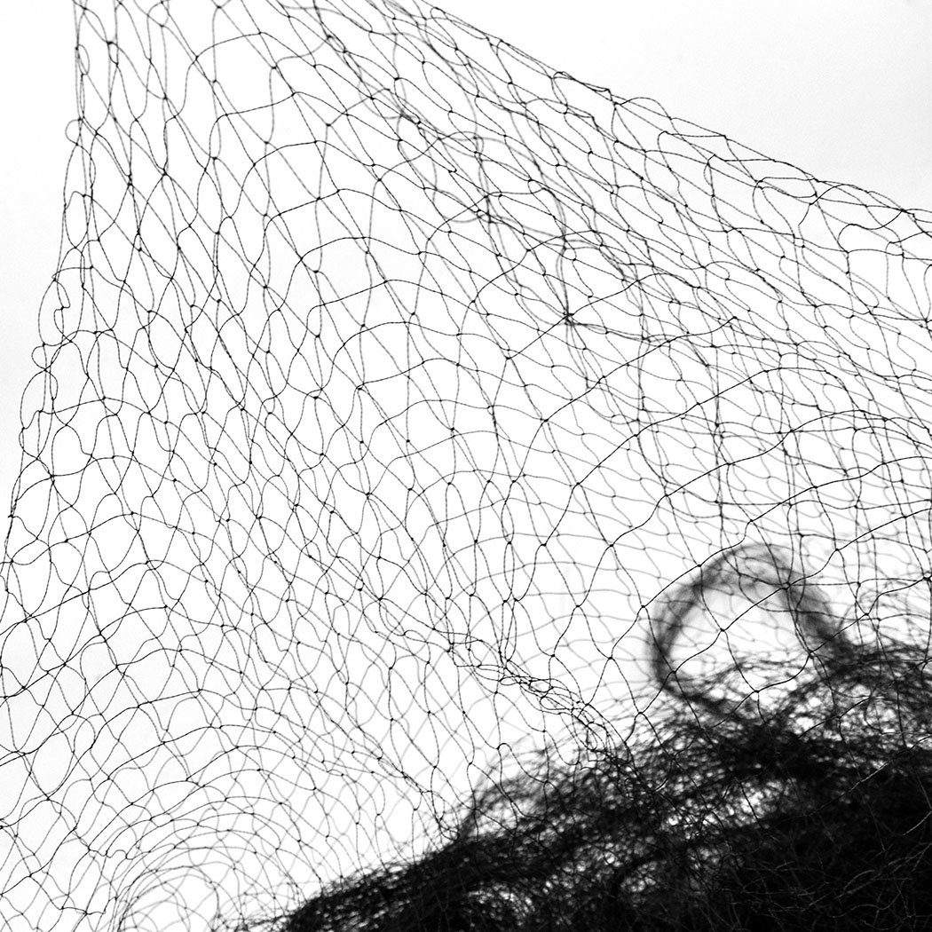 Anti Bird Netting made of heavy-duty knitted nylon, designed to protect fruits and vegetables from birds while allowing pollinators through.