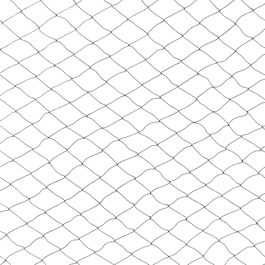 Anti Bird Netting made of heavy-duty knitted nylon, designed to protect fruits and vegetables from birds while allowing pollinators through.