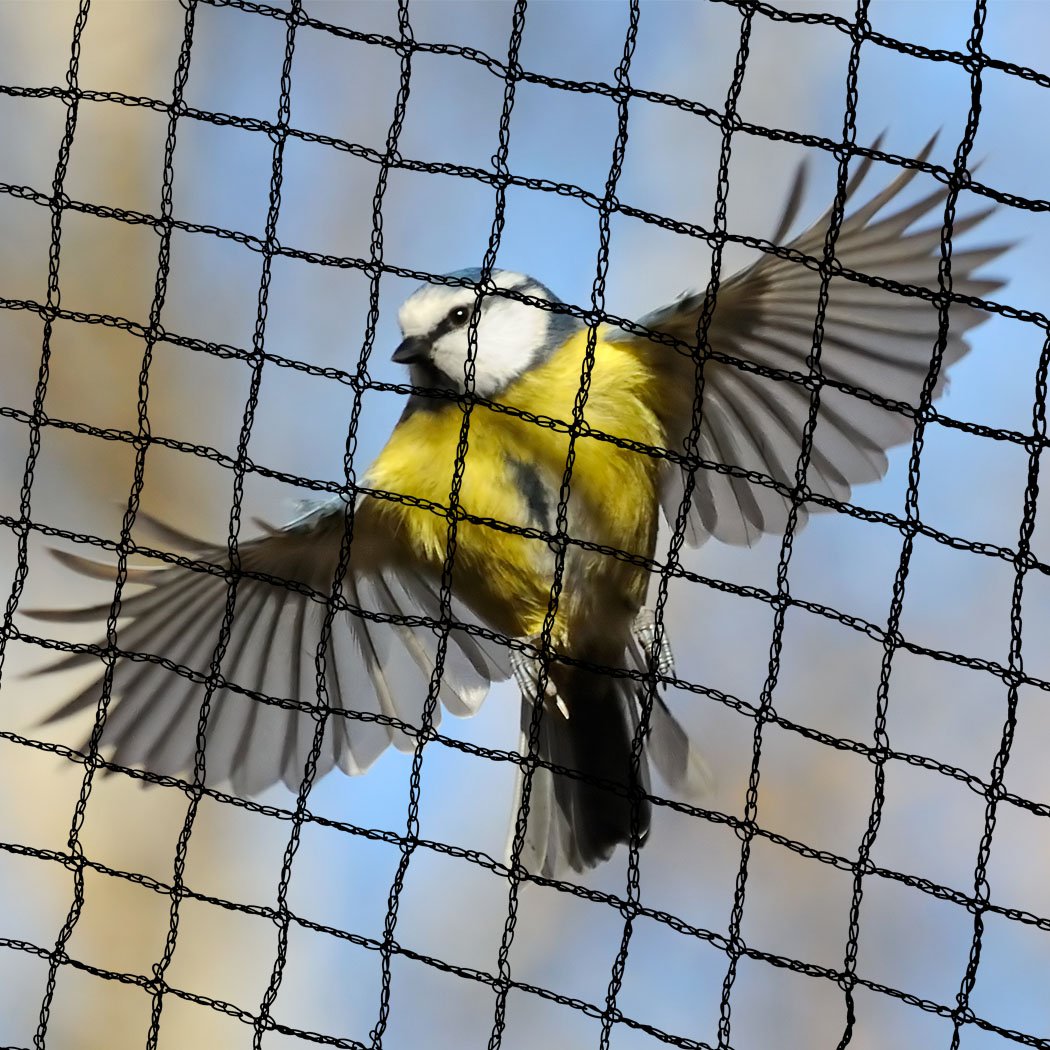 Anti Bird Netting made of heavy-duty knitted polyethylene, designed to protect fruits and vegetables from birds while allowing pollinators through.