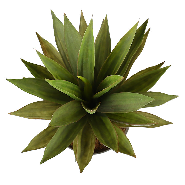 A 50 cm tall artificial dense potted aloe vera plant with lush green leaves in a sleek black pot, perfect for home or office decor.