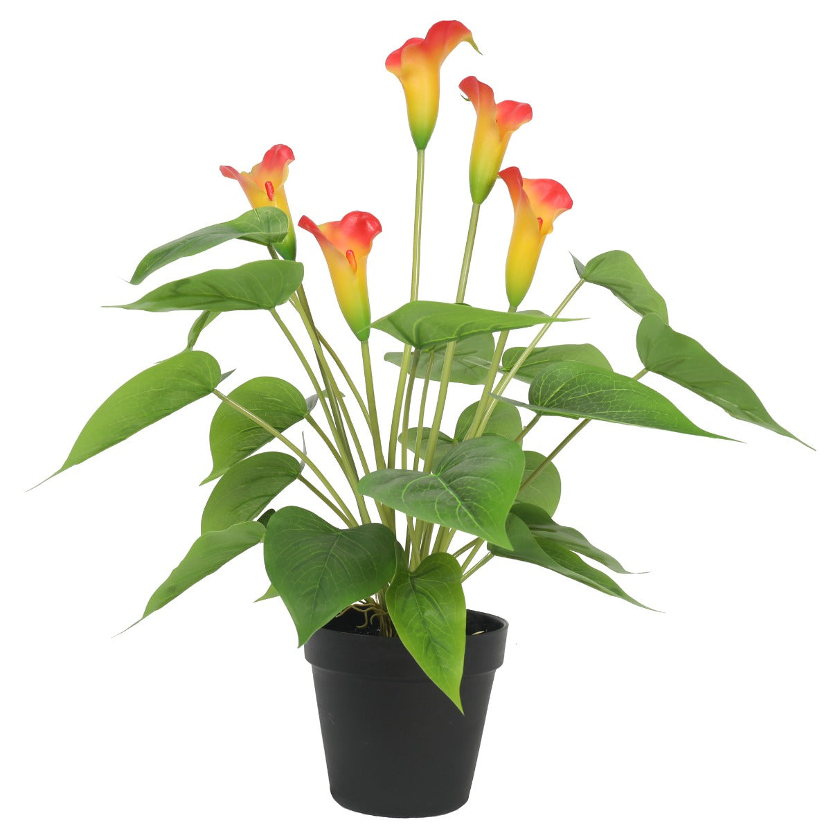 50cm Artificial Flowering White & Orange Peace Lily in a black pot, showcasing vibrant orange flowers and lush green leaves.