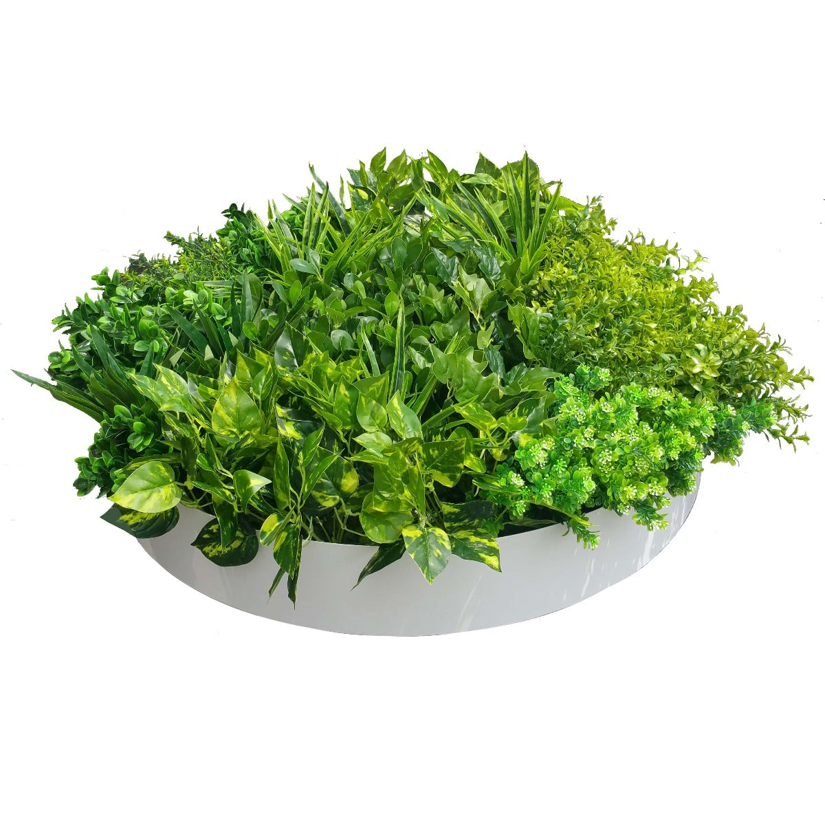 A beautiful 80cm artificial green wall disc art featuring mixed Aloe Vera plants in a fresh white metal disk, showcasing intricate craftsmanship.