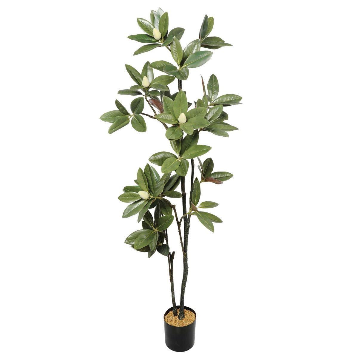 A 180cm tall artificial magnolia tree with realistic blooms and lush green leaves, perfect for indoor decoration.