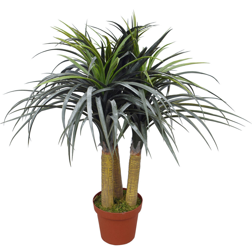 A 75cm tall Artificial Pony Tail plant with long, sweeping green leaves in a basic plastic pot, showcasing its realistic appearance.