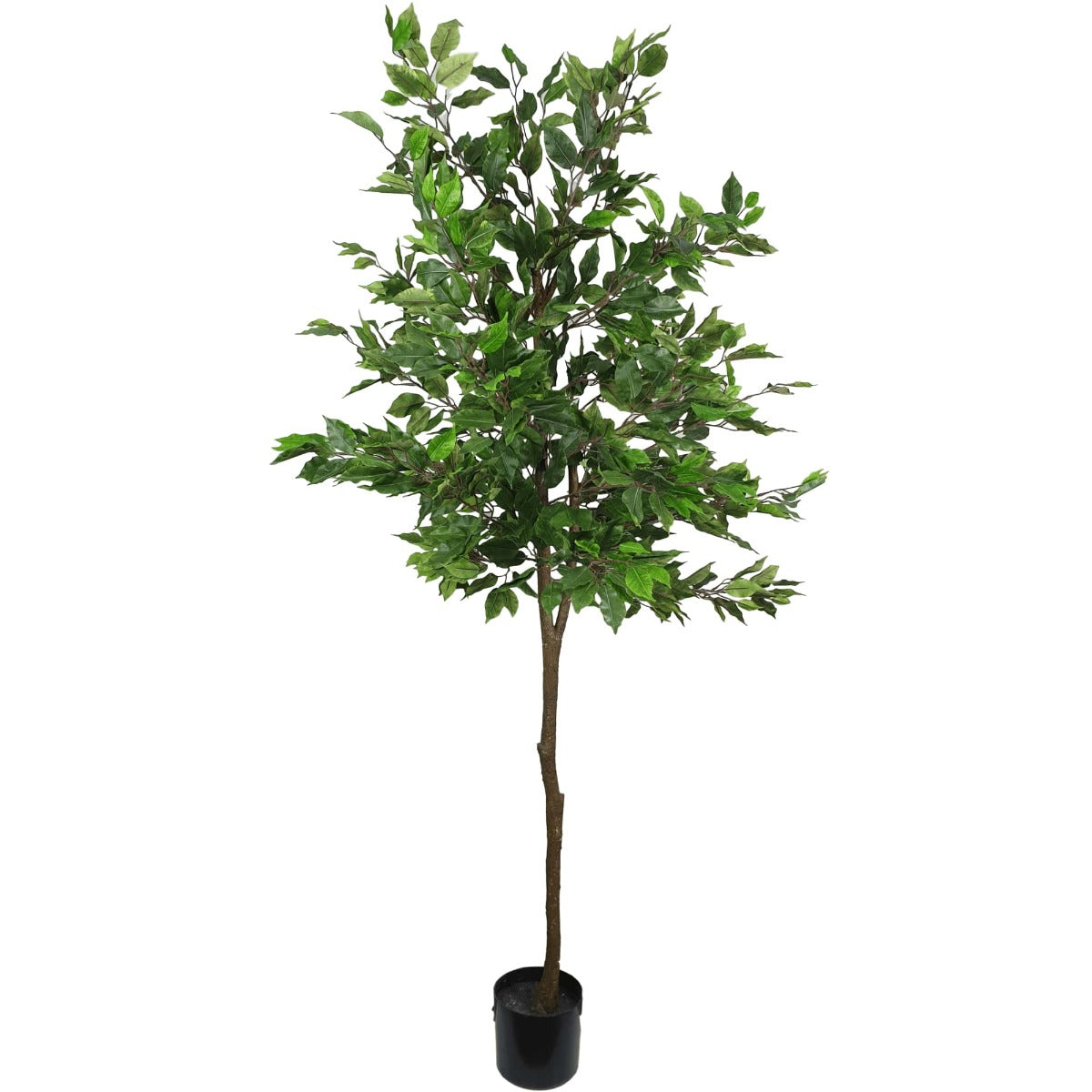 A 160cm tall artificial potted ficus tree with realistic silk leaves and a slender trunk, perfect for indoor decoration.