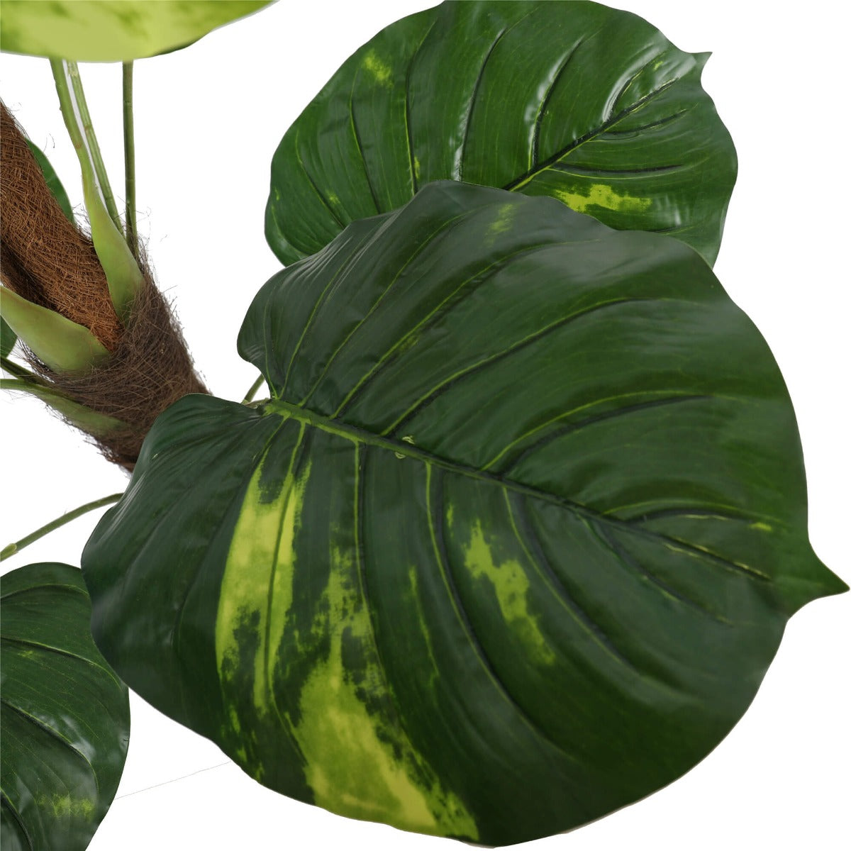 Artificial Potted Pothos Plant with Pole, 100cm tall, featuring variegated green leaves and a realistic brown trunk in a decorative pot.