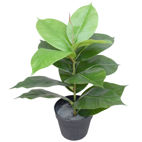A 55cm tall artificial potted rubber plant with lush green monstera leaves, perfect for home or office decor.