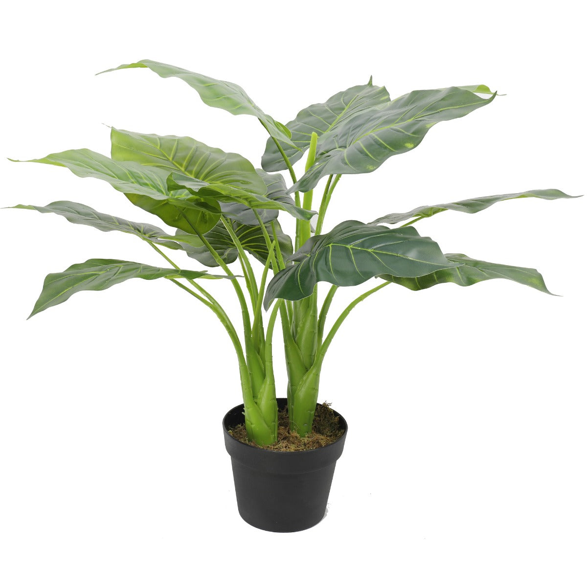 70cm tall artificial potted taro plant with vivid green foliage in a decorative pot, perfect for indoor decor.