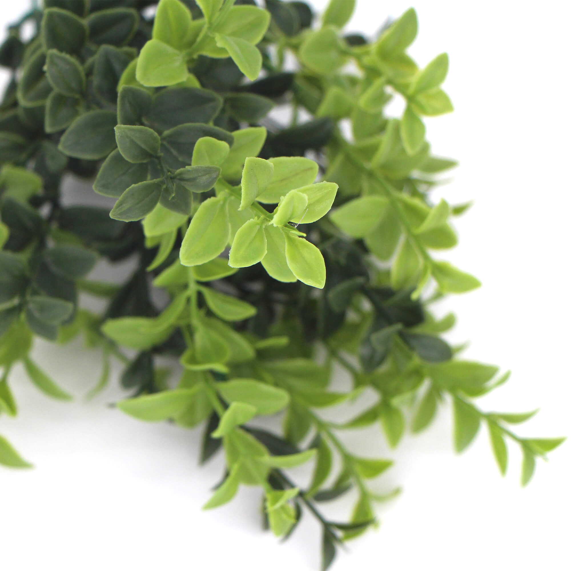 Artificial Rounded Boxwood Stem UV 30cm, showcasing vibrant green leaves and a realistic appearance, perfect for home decor.