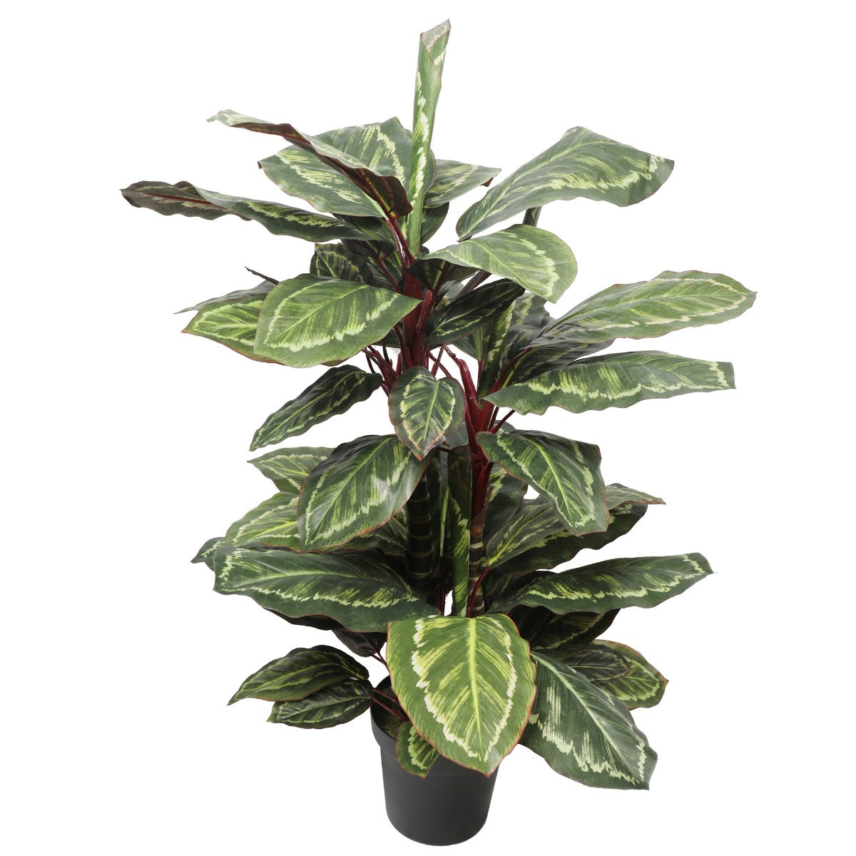 90cm Artificial Wide Leaf Cordyline Plant in a black pot, showcasing realistic green leaves and a lush appearance.