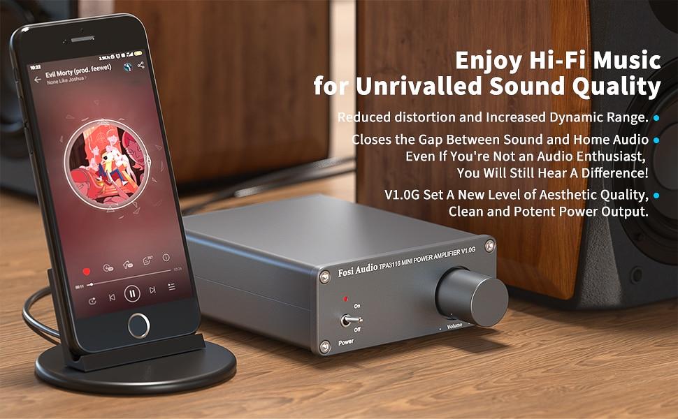 Compact Audio Power Amplifier 2 Channel Stereo Class D Mini Hi-Fi Professional with RCA input and sleek design.