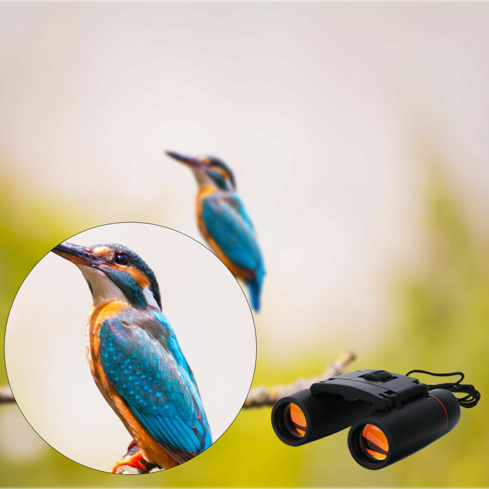 Compact 30x60 Zoom Binoculars designed for outdoor travel and hunting, featuring a lightweight design and fully coated optics.