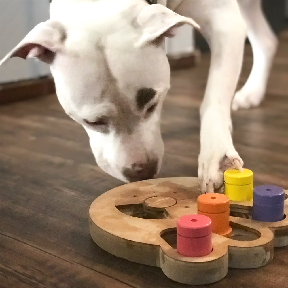 Brainiac Busy Paw Interactive Pet Toy designed for engaging pets with treat dispensing features and durable construction.