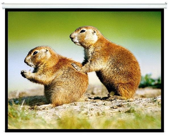 Brateck Manual Projector Screen 2.0x1.5m with auto-lock mechanism, showcasing its black-backed material and cleanable fiberglass surface.