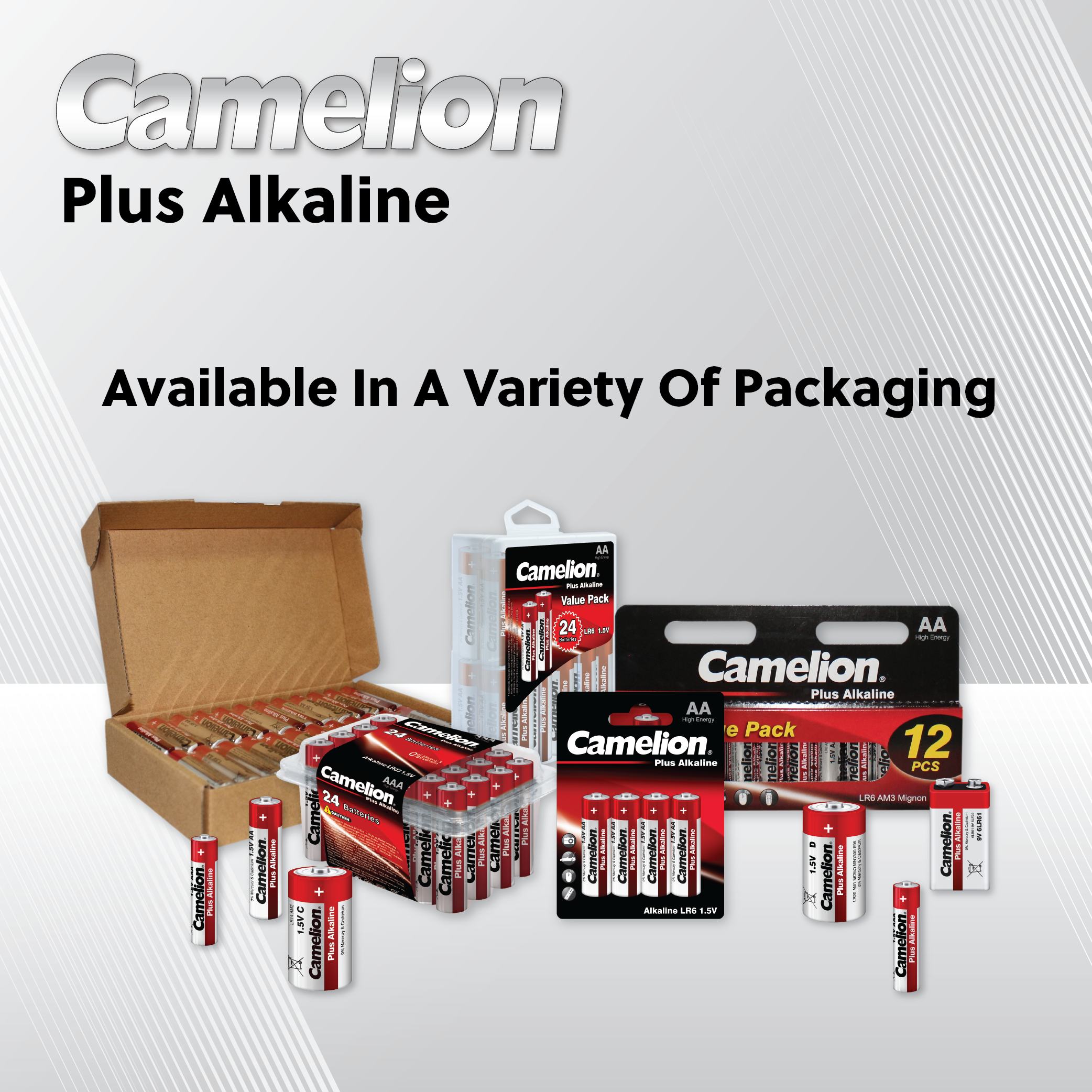 Camelion AA Plus Alkaline Hangable 12 Pack displayed in a compact box, showcasing the batteries designed for reliable power.
