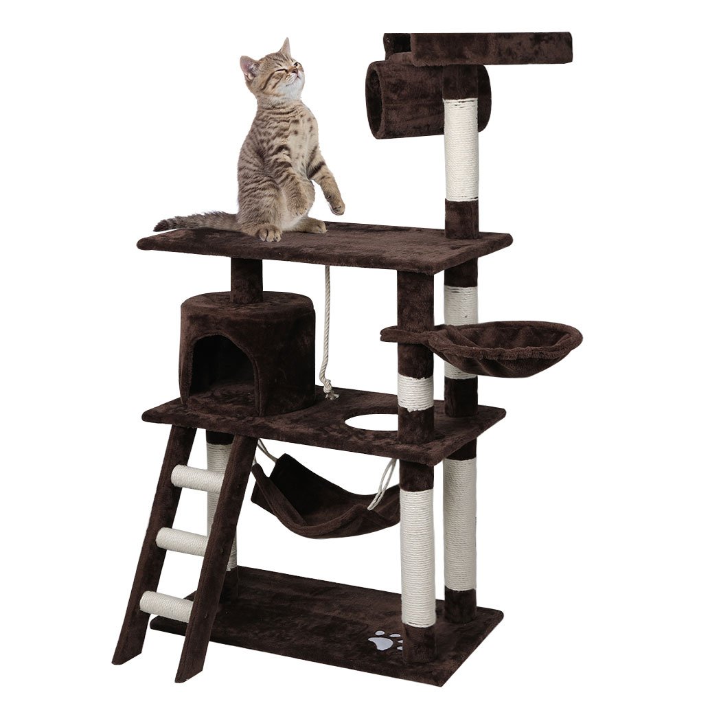 A tall 140cm dark brown cat tree with multiple levels, plush covering, and a natural sisal scratching post, designed for playful cats.