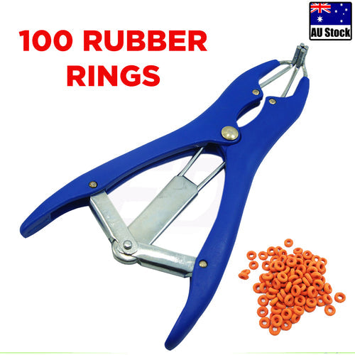 Cattle Lamb Sheep Elastrator Castrating Plier made of stainless steel with 100 rubber rings for livestock management.