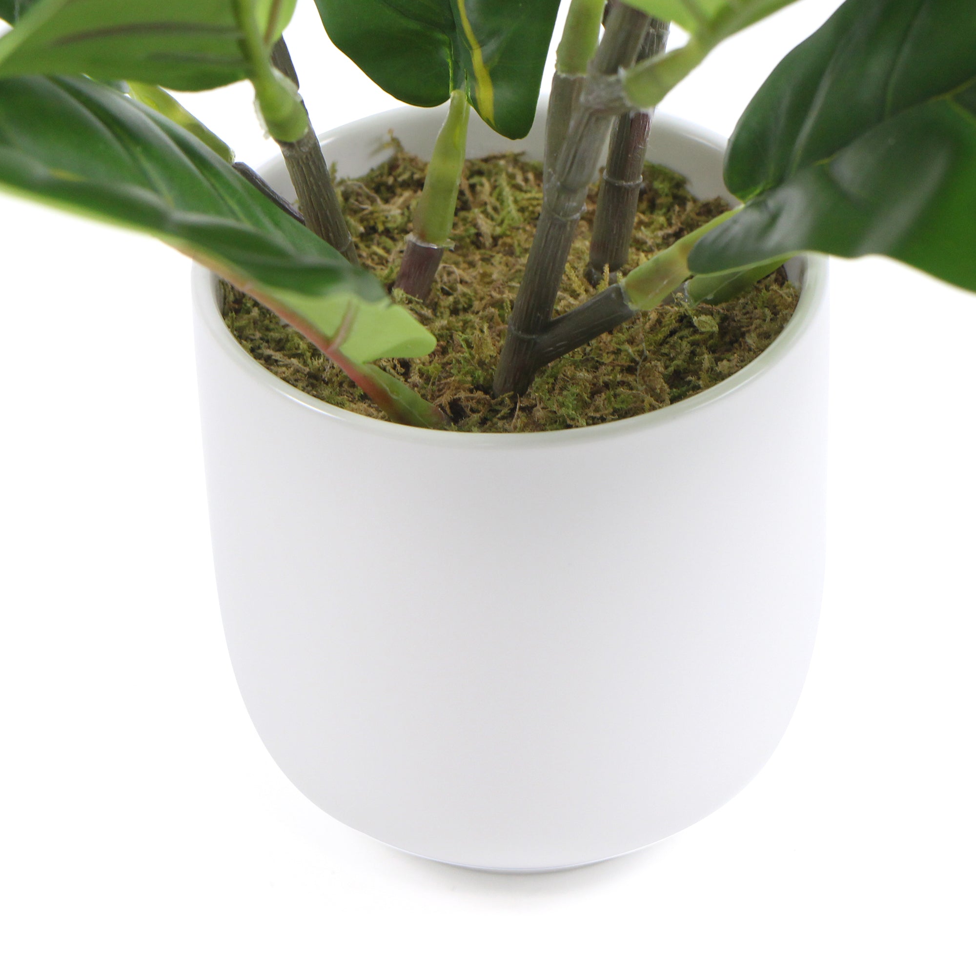 A decorative potted dense artificial fiddle leaf fig in a beautiful ceramic bowl, showcasing realistic green leaves and branches.