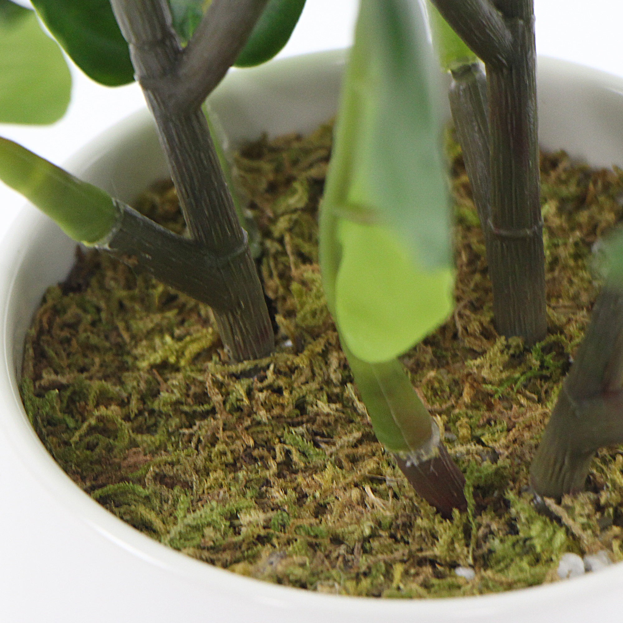 A decorative potted dense artificial fiddle leaf fig in a beautiful ceramic bowl, showcasing realistic green leaves and branches.