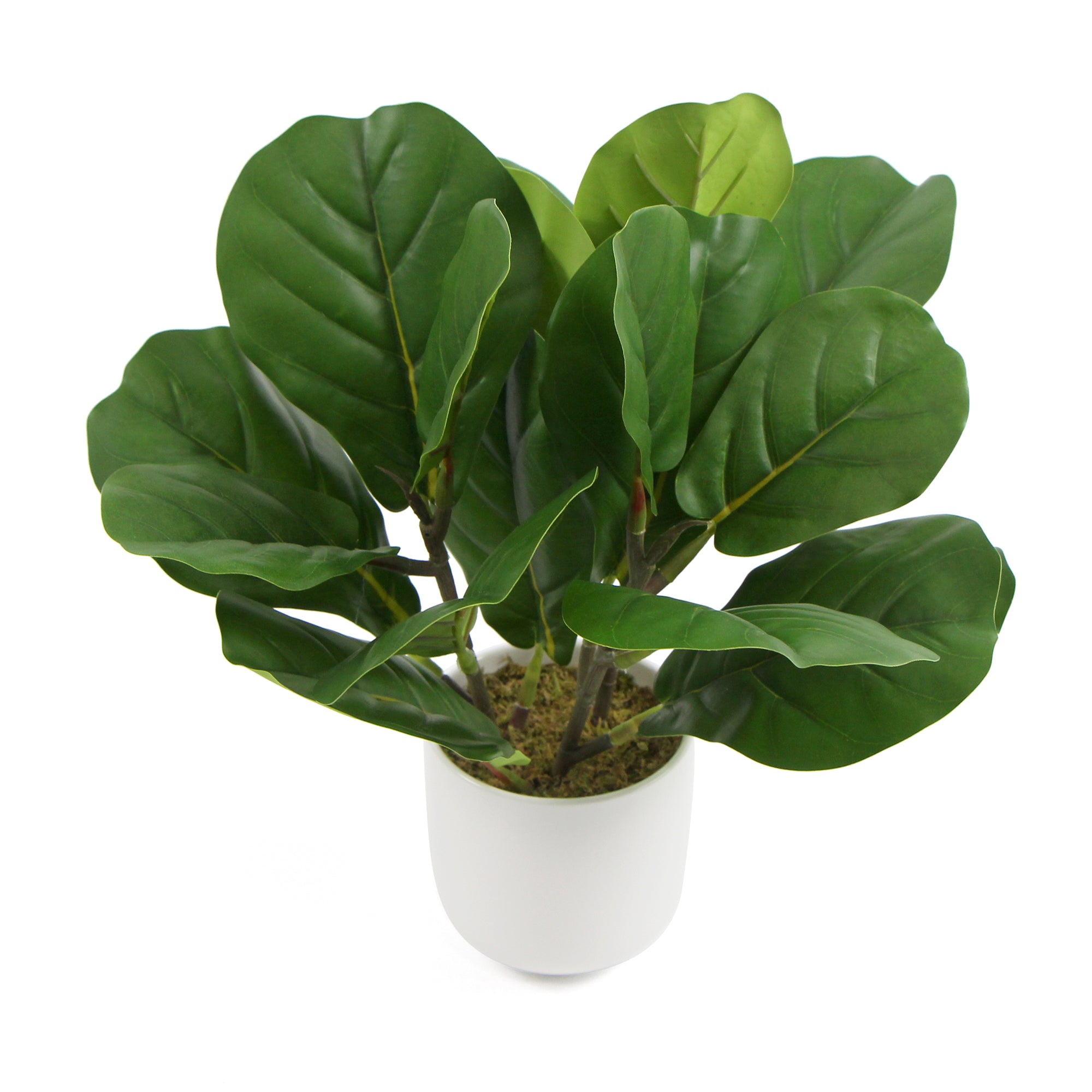 A decorative potted dense artificial fiddle leaf fig in a beautiful ceramic bowl, showcasing realistic green leaves and branches.