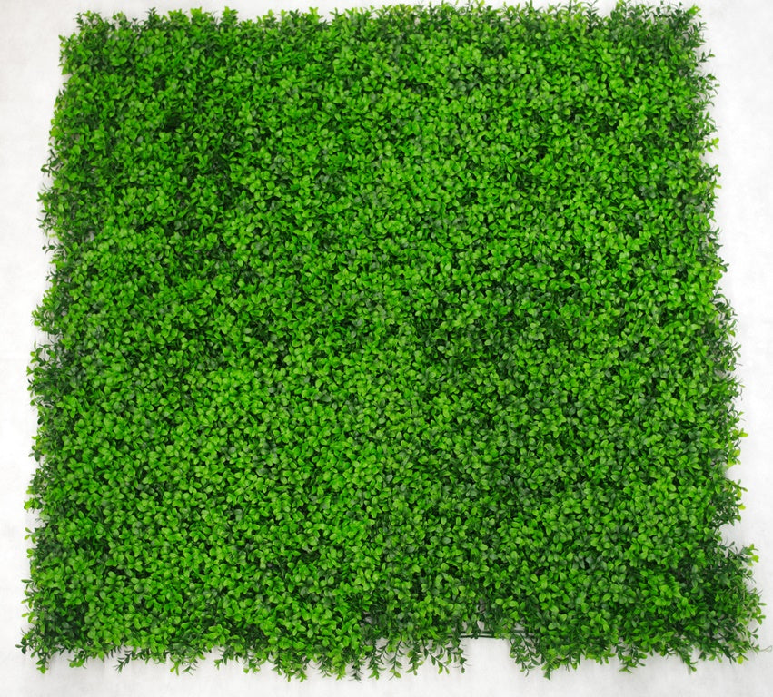 Deluxe Buxus Panels UV Stabilised 1m X 1m showcasing lush green foliage, perfect for indoor and outdoor decoration.