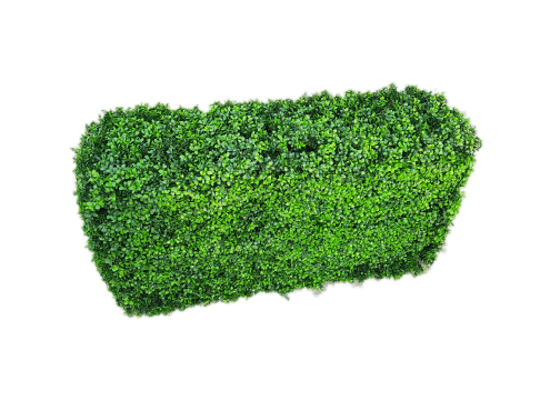 Deluxe Portable Buxus hedge, 100cm long and 50cm high, showcasing vibrant green leaves, perfect for outdoor privacy and decoration.