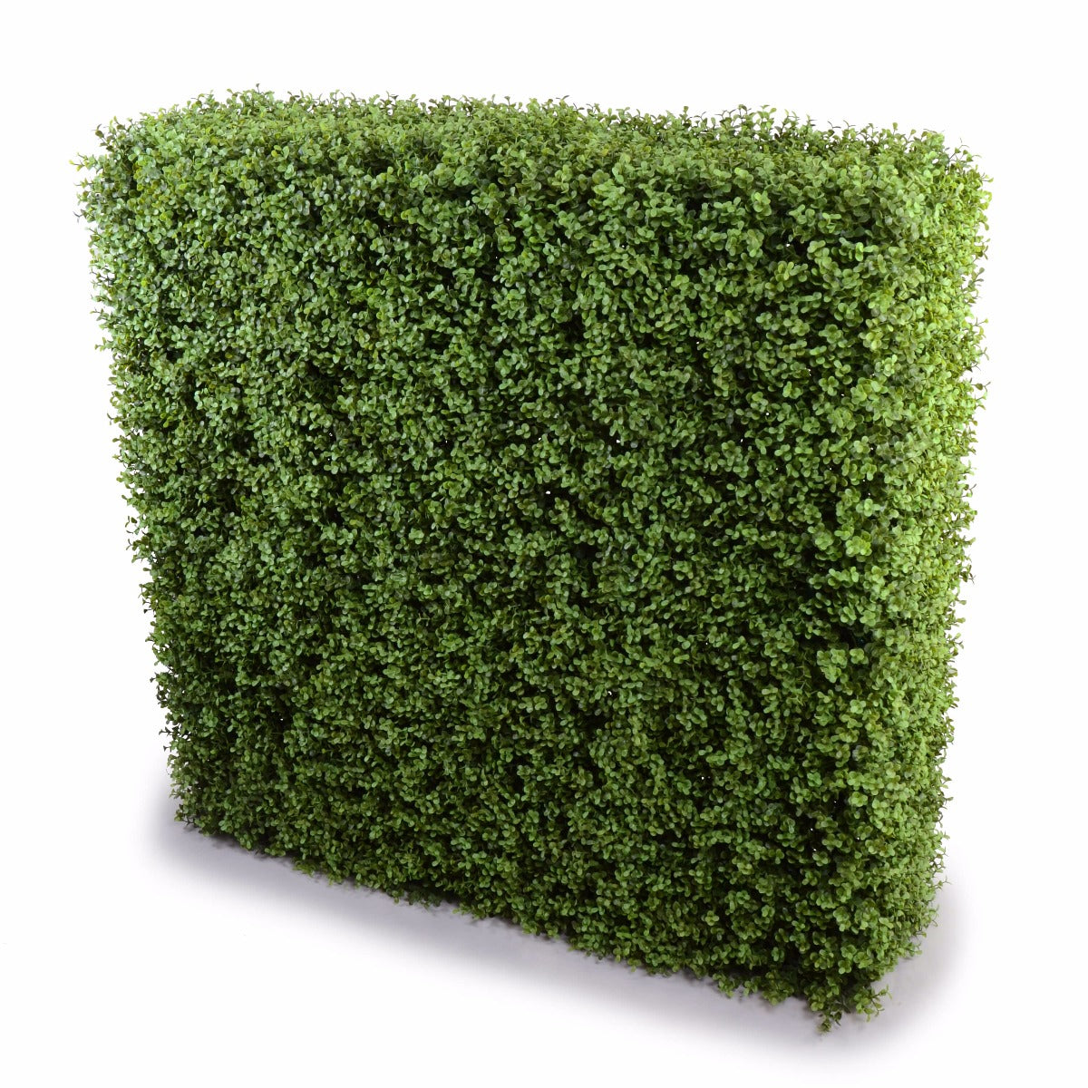 Deluxe Portable Buxus Hedges, UV stabilised, 100cm long and 100cm high, showcasing lush green foliage perfect for decoration and privacy.
