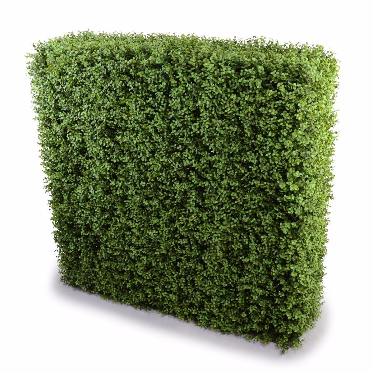 Deluxe Portable Buxus Hedges, 150cm high and 150cm long, showcasing lush green foliage, perfect for indoor and outdoor decoration.