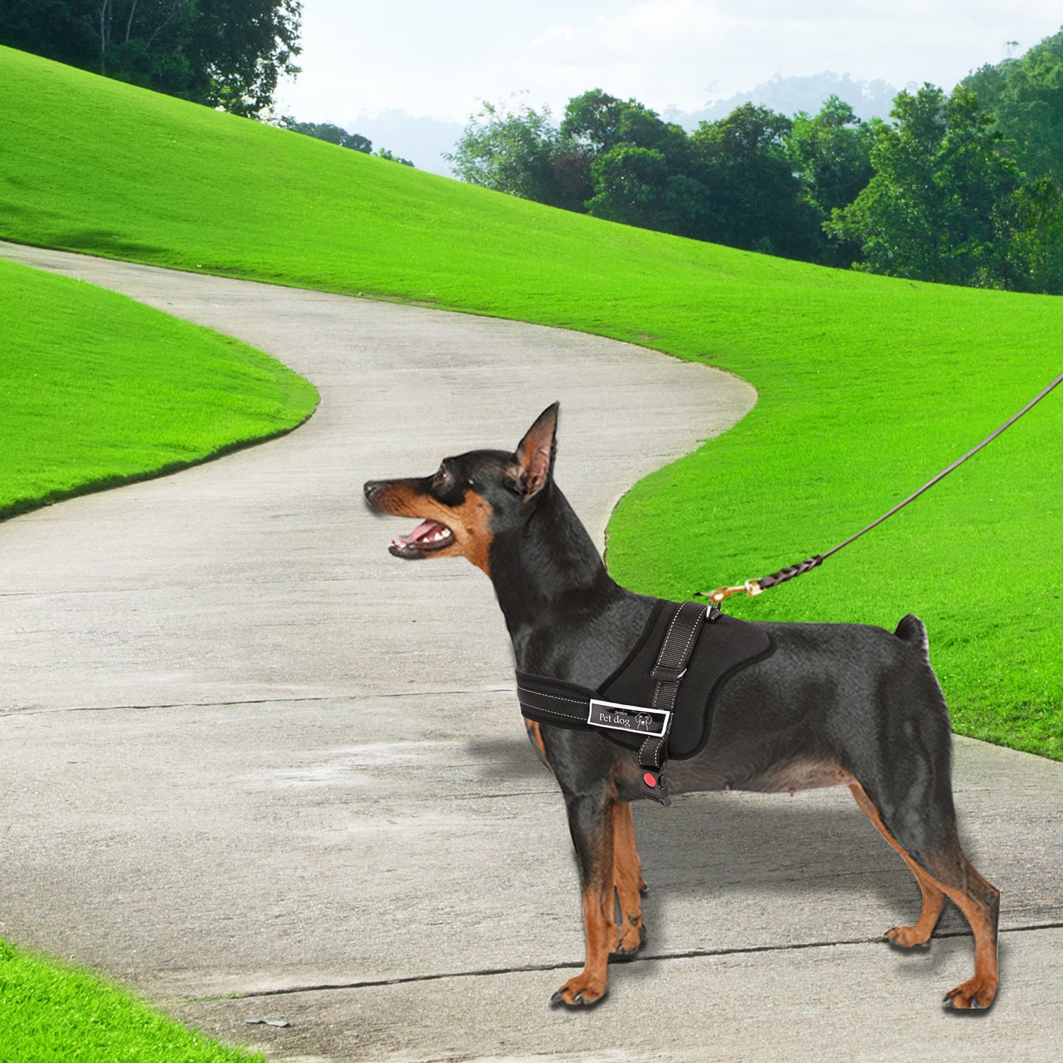 Dog Adjustable Harness in black with meshed surface and integrated hand grip, designed for comfort and control during training.