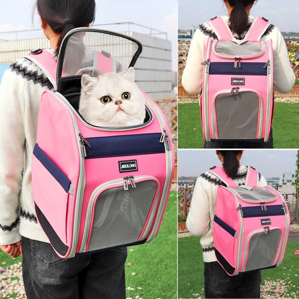 Double shoulder dog cat carrier backpack in pink and green, featuring breathable mesh for small pets.
