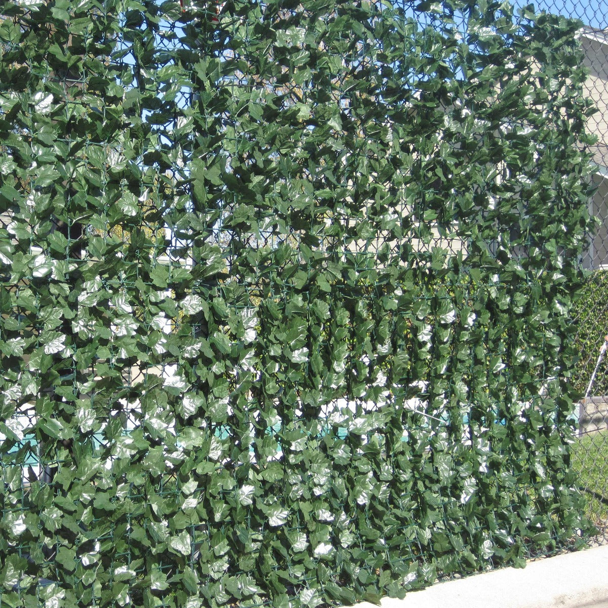 Double Sided Ivy Rolls 3m x 1m showcasing lush green leaves, perfect for privacy and decoration.