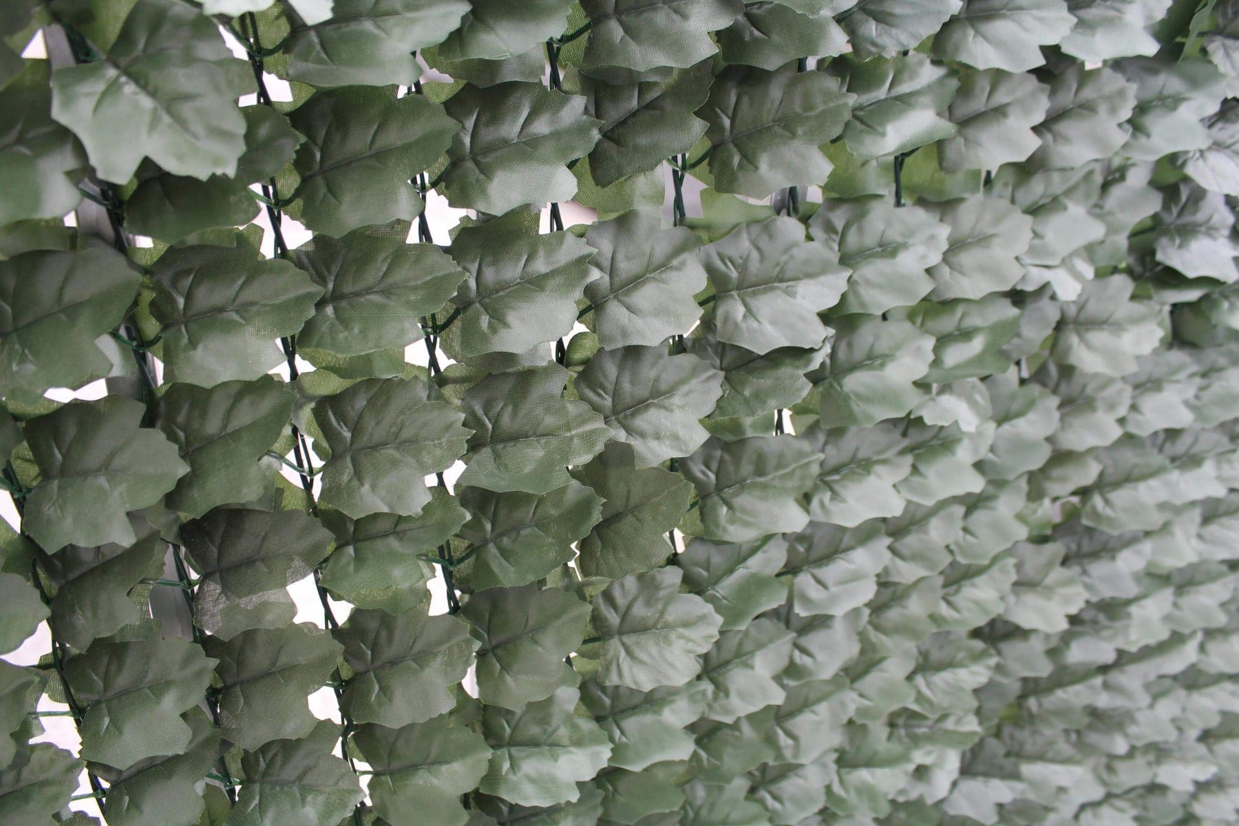 Double Sided Ivy Rolls 3m x 1m showcasing lush green leaves, perfect for privacy and decoration.