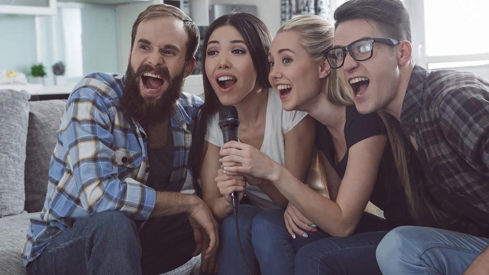 Dynamic Vocal Cardioid Handheld Microphone with On/Off Switch, ideal for teaching, karaoke, and live speeches, featuring a sleek design and durable build.