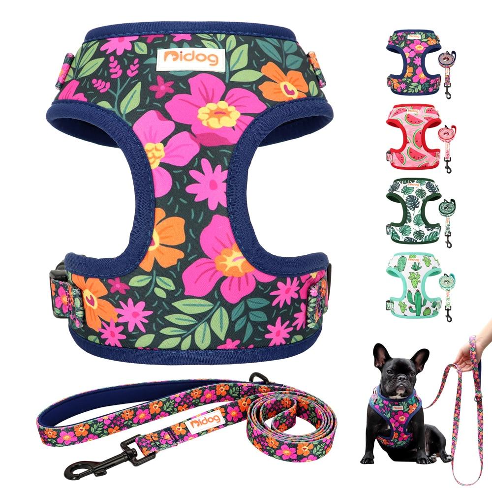 Flower Print Dog Harness with Leash, featuring a vibrant floral design, padded mesh nylon for comfort, suitable for small and medium dogs and cats.