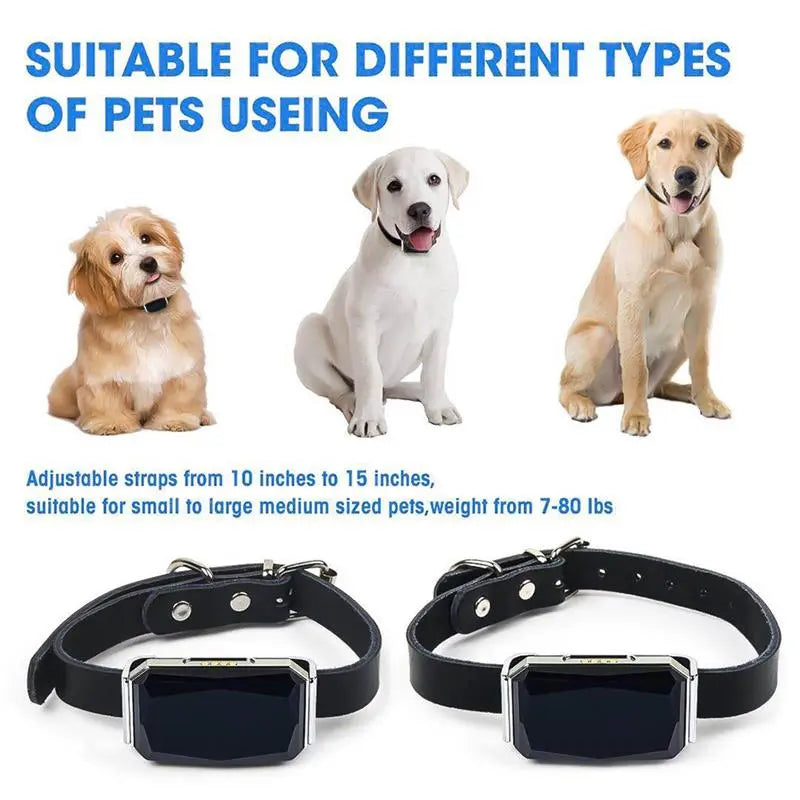 G12 GPS Smart Waterproof Pet Locator attached to a pet collar, showcasing its sleek design and advanced technology.