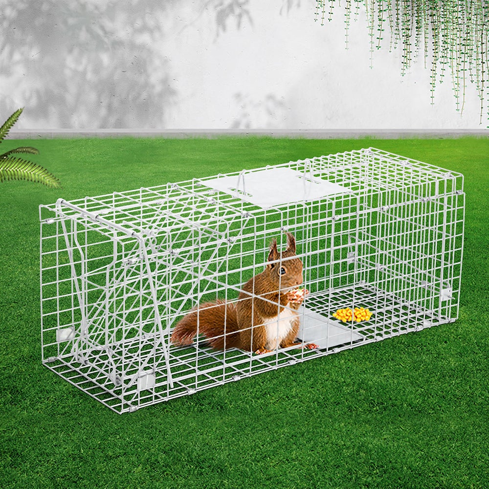 Humane Animal Trap Cage made of rust-resistant galvanised iron wire, measuring 66 x 23 x 25cm, designed for safe animal capture.