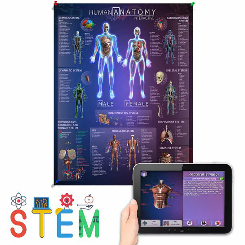 Interactive Smart Chart showcasing human anatomy and solar system with vibrant colors and detailed illustrations.