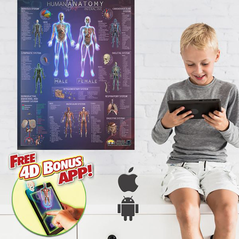 Interactive Smart Chart showcasing human anatomy and solar system with vibrant colors and detailed illustrations.