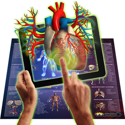Interactive Smart Chart showcasing human anatomy and solar system with vibrant colors and detailed illustrations.