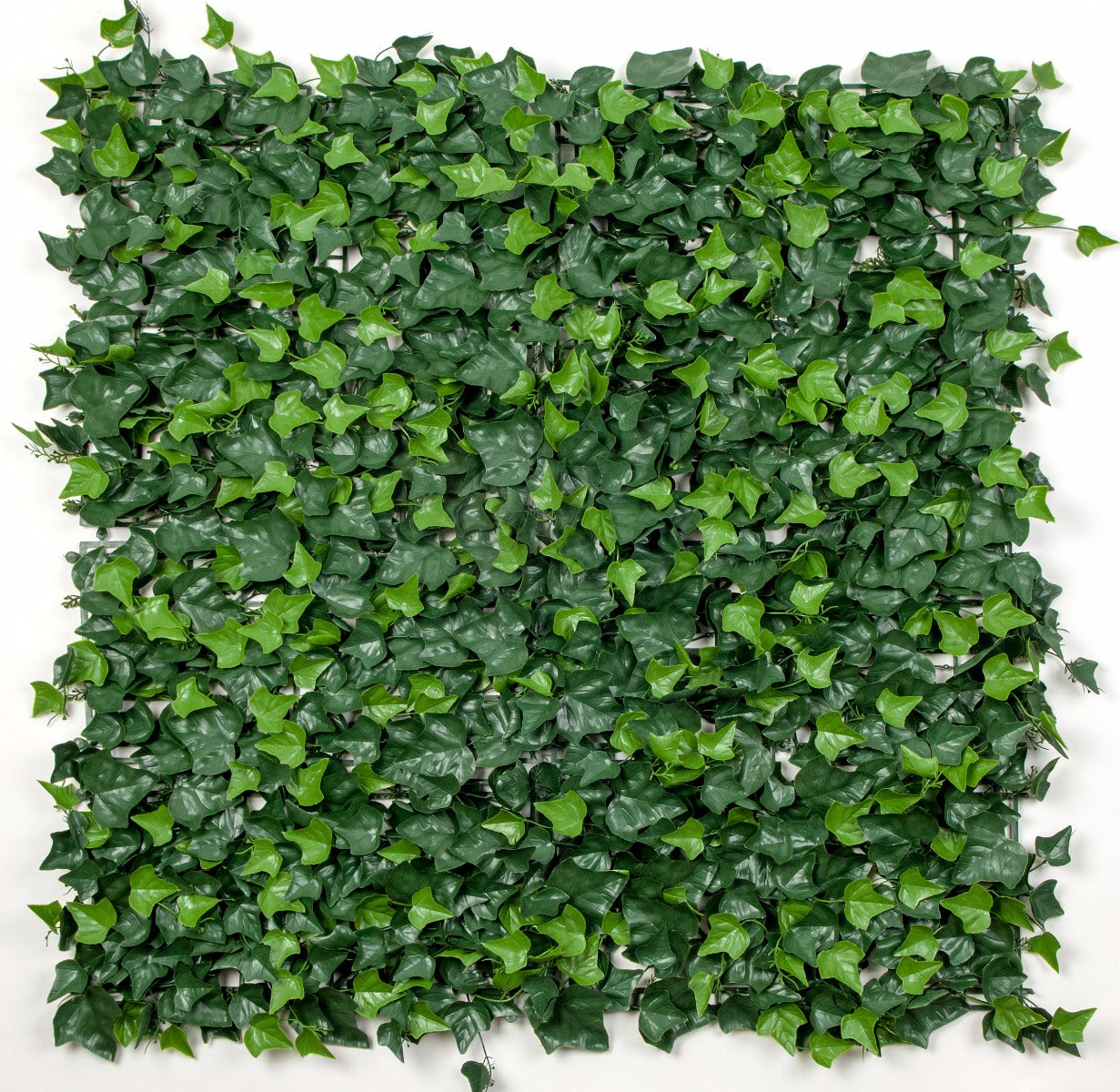 A 1m x 1m UV stabilized artificial ivy leaf screen, showcasing lush green leaves, ideal for indoor and outdoor decoration.