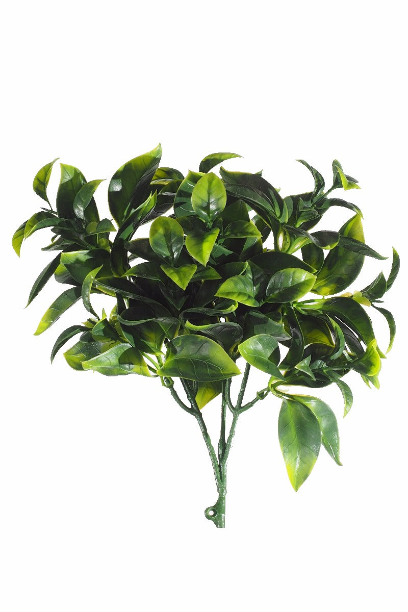 A 25cm long Jasmine Stem UV, featuring realistic green leaves and delicate white flowers, perfect for vertical gardens or small pots.