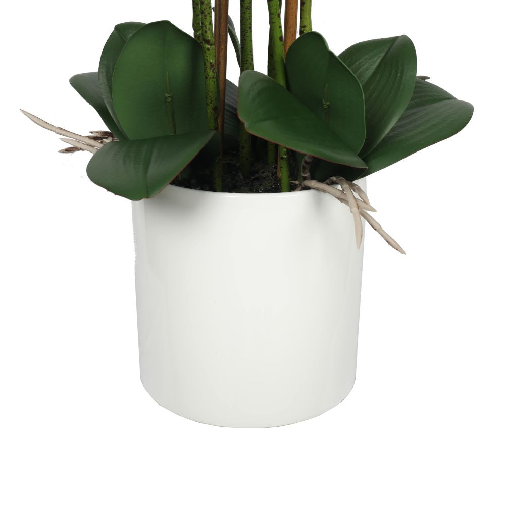 Large Multi-Stem White Potted Faux Orchid in a modern round white pot, showcasing lifelike flowers and lush green leaves.