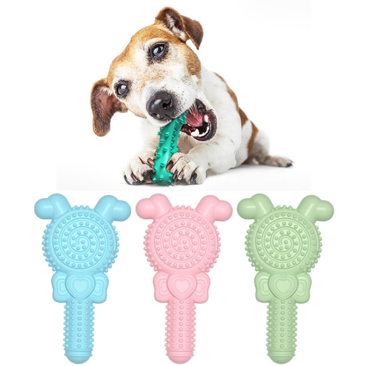 Blue lollipop shape dog teething stick made from durable TPR material, designed for safe chewing and dental hygiene.