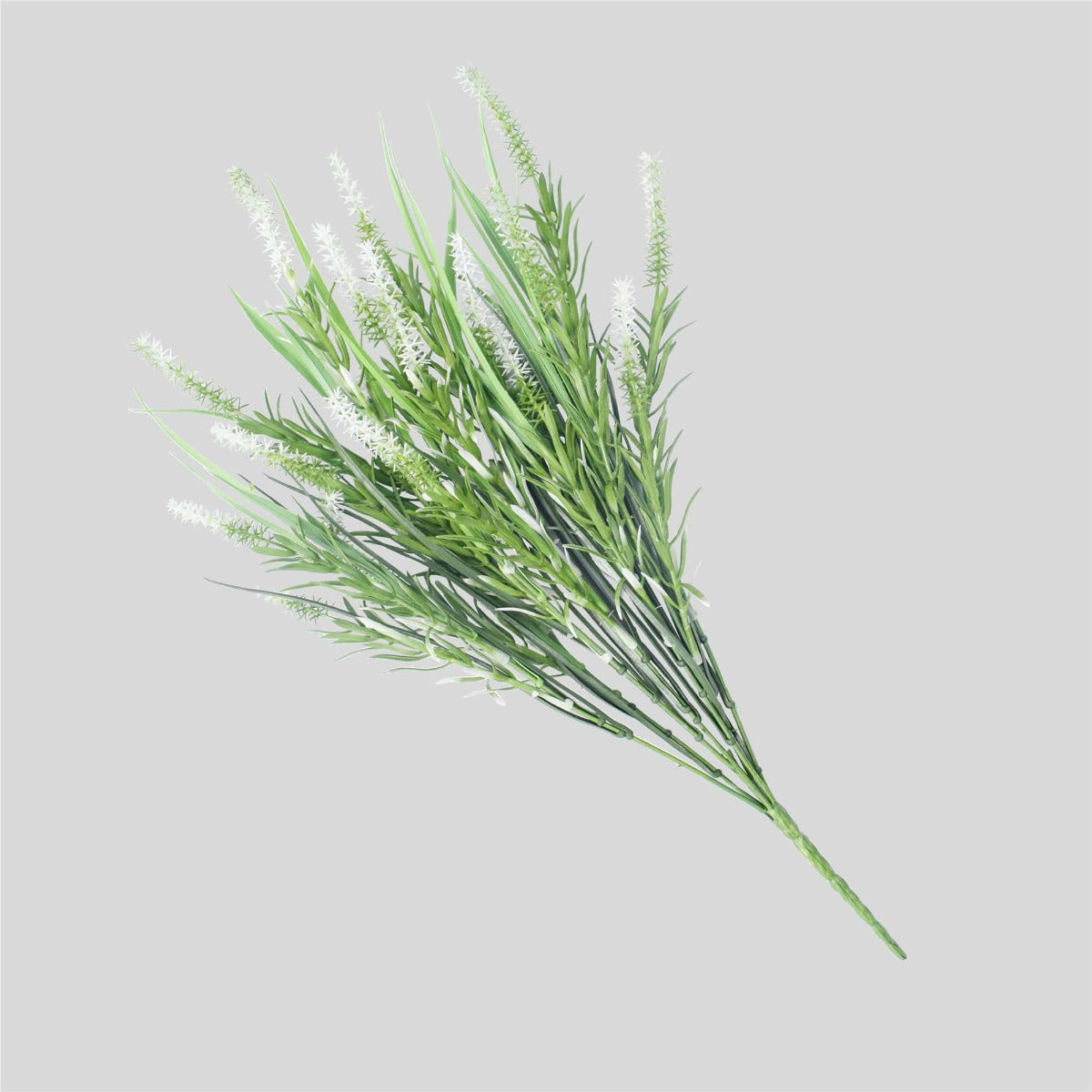 A beautiful Long Stem White Lavender plant with pure white flowers and lush green foliage, perfect for home decor.