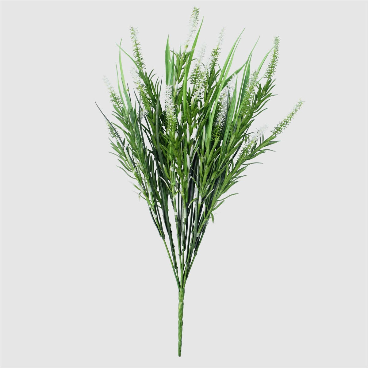 A beautiful Long Stem White Lavender plant with pure white flowers and lush green foliage, perfect for home decor.