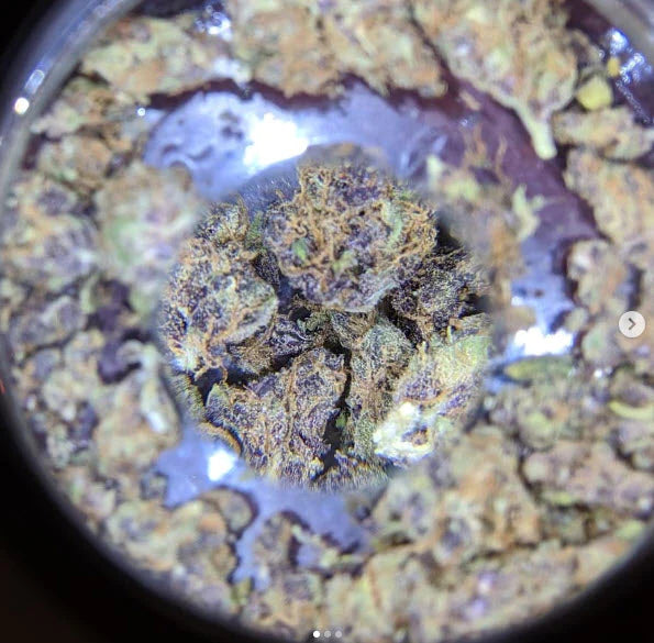 MasonBrite Magnified Light Jar Display Stash Kit v3.0 with LED lid and airtight screw-on lid, showcasing cannabis storage.